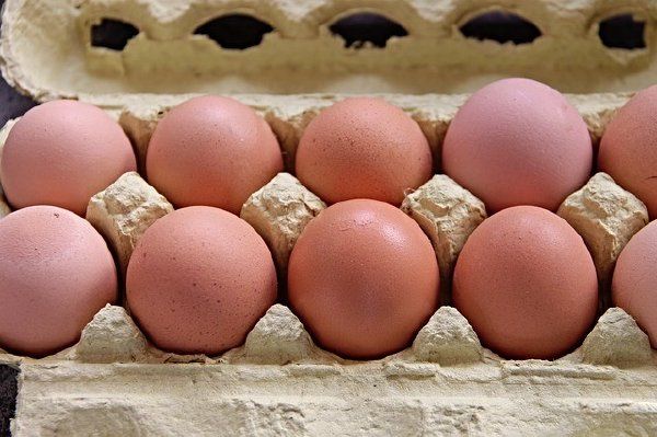 35人感染 逾兩億隻雞蛋被召回
