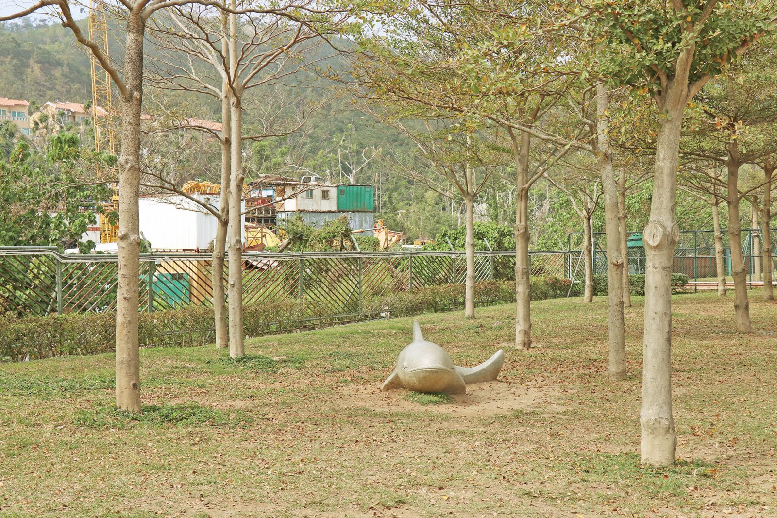 路環黑沙村 神秘「大腕」挑戰威權！