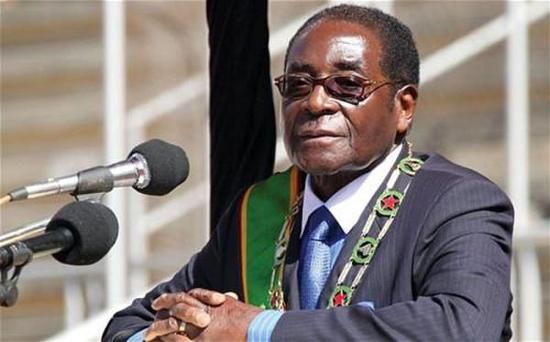 津巴布韋將於7月舉行總統選舉