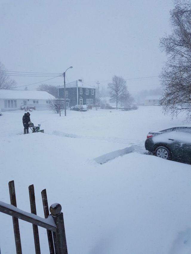 加拿大紐芬蘭落雪 積雪達30厘米