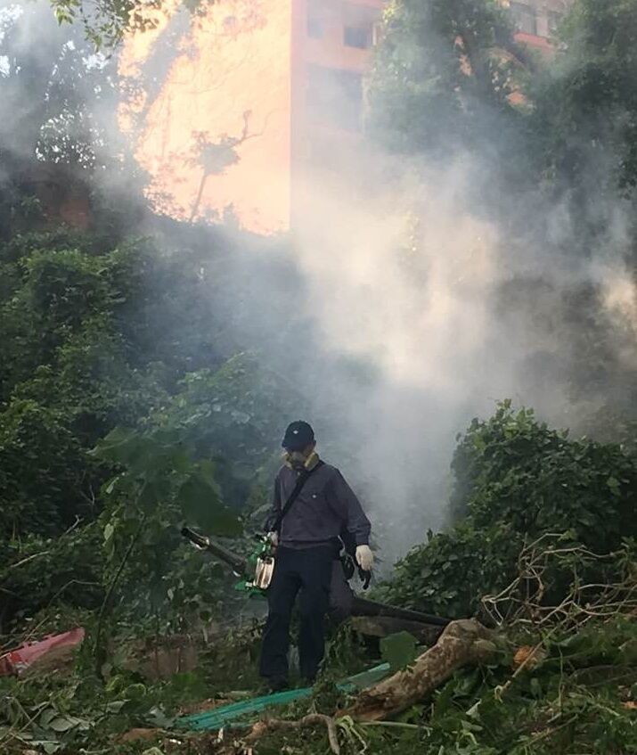 民署再到青洲山清理雜物