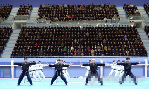韓跆拳道示範團在平壤演出