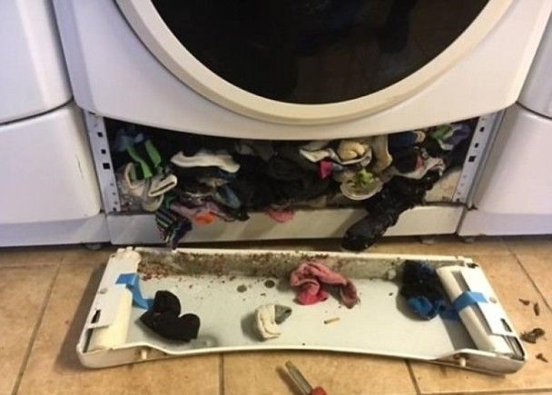 加州夫婦拆洗衣機維修驚現大量...