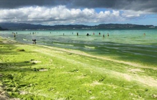 菲律賓下月26起封閉長灘島半年