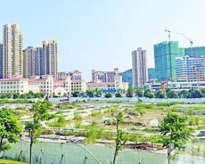 當局研向在珠涉訟澳人提供法援