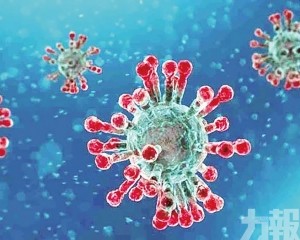 南非C.1.2病毒株擴散七國含中國