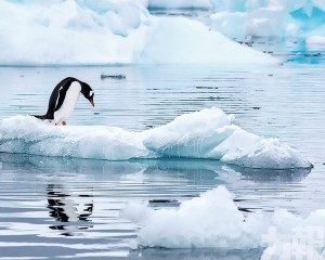 南極東部異常高溫創紀錄