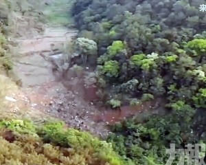 專家：飛行數據極不正常