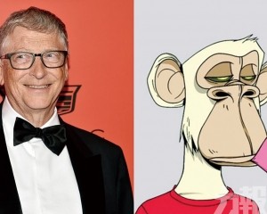  諷「昂貴的猴子圖片會改變世界」