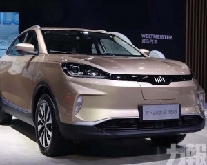市場猜測為威馬借殼上市