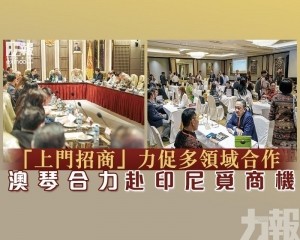 澳琴合力赴印尼覓商機