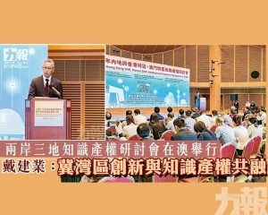 戴建業：冀灣區創新與知識產權共融