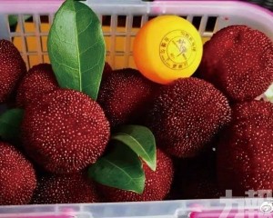 渾身無力送醫竟要血透治療