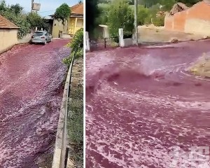 紅酒淹沒葡萄牙小鎮