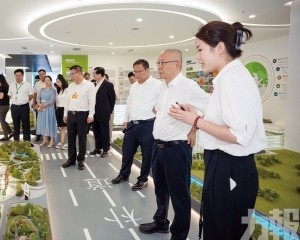 實地調研深合區投資營商環境