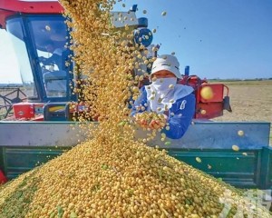 中國向美採購30萬噸大豆