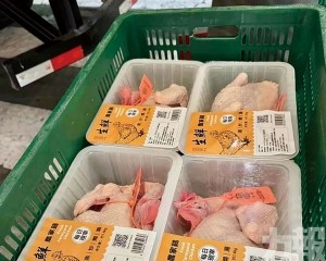 不斷完善供澳生鮮雞禽市場