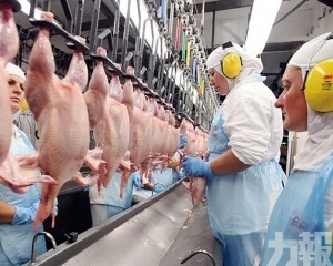 巴西獲中國取消禽肉反傾銷稅