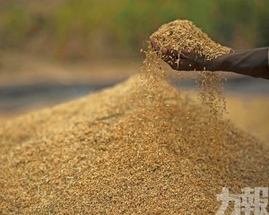 肉類與植物油價格上漲