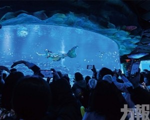 橫琴長隆度假區上榜