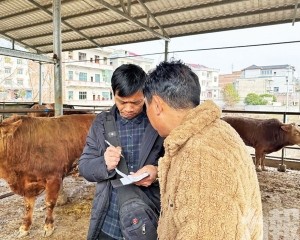 內地牛肉價格大跳水