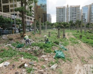 坊會籲政府盡快跟進處理