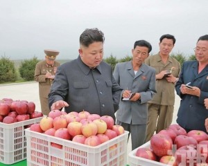 俄羅斯將進口朝鮮蘋果