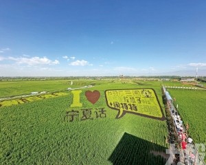 冀推動寧澳文旅產業互補發展