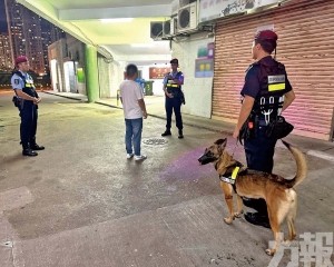 揭兩女涉賣淫及一非法旅館