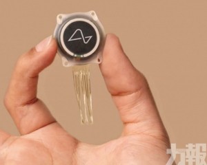 能玩電腦遊戲 使用設計軟件