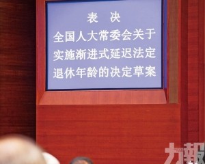 分析指紓緩養老金財政壓力