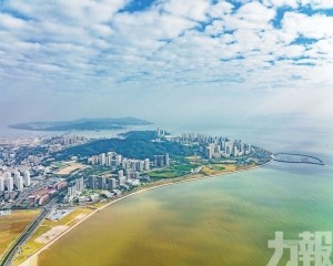 外貿進出口2,389億同比升10%