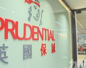 料全年或最多增長13%