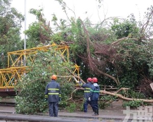 提升維護技術保障市民安全