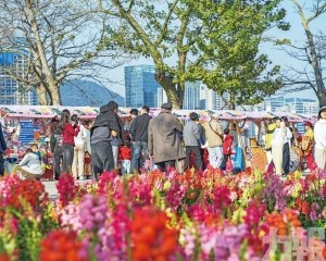 除夕至年初二迎客約3.5萬