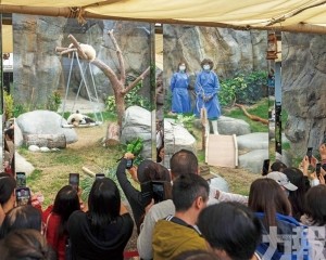 1,500元貴賓團錄數百人報名