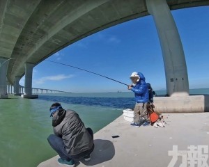 港珠澳大橋相關水域禁釣