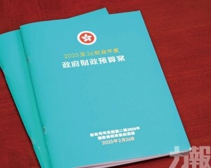 陳茂波：加強財政整合削開支