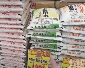 首批15萬噸拍賣本月底上架