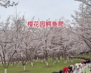 老年人另類養生小心健康風險