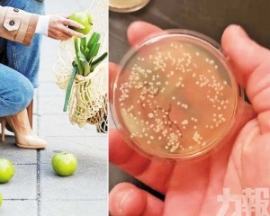 科學家實驗打臉