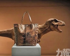 美團隊擬再造「暴龍皮革」