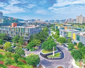 佔深合區企業總數12.4%