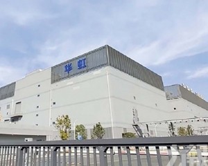 中芯及華虹首季業績後股價重挫