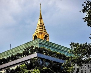料7月底前提交報告