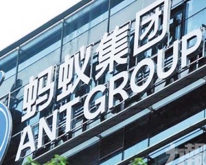 彭博料估值約240億美元