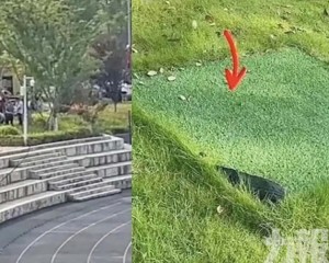 重慶男大生誤墜化糞池溺斃
