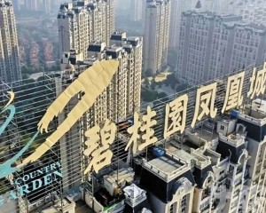 楊惠妍遭上交所深交所公開譴責