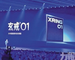 仰賴台積電代工恐成隱憂