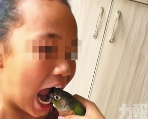 醫生警示恐得禽流感